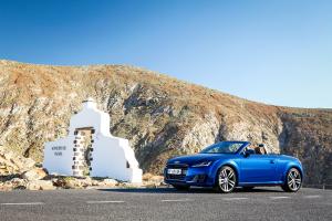 Audi TT Roadster 2.0 TDI Ultra 2014 года  (WW)